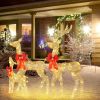 3-Piece Pre-Lit Christmas Reindeer Family Decorations with 440 Warm White LED Lights, Outdoor Holiday Yard Décor with Stakes & Ropes, Buck 6.1ft