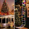 11 ft Santa Claus Ladder Lights, Christmas Lights, Outdoor Ladder Lights