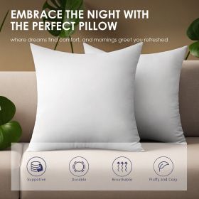 Two White Square Pillow Bubble Bags Suitable For Bed Cushions,  Sofa Cushions, Garden Cushions, Cushion Core, Breathable,  Hand Washable, OKO-100 (Option: 51X51x15cm)